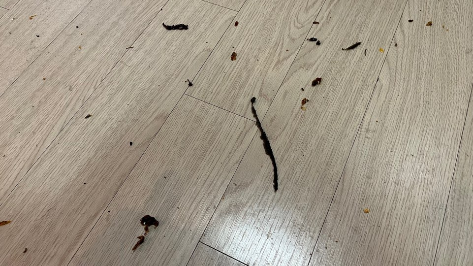 닦아드림 이미지
