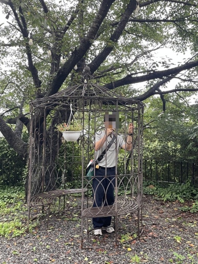 홍차왕자 이미지