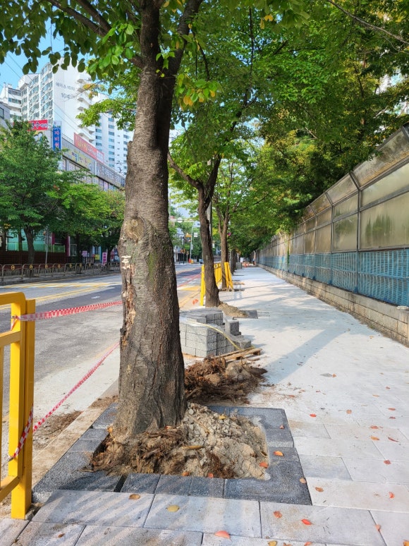 현산초등학교 이미지