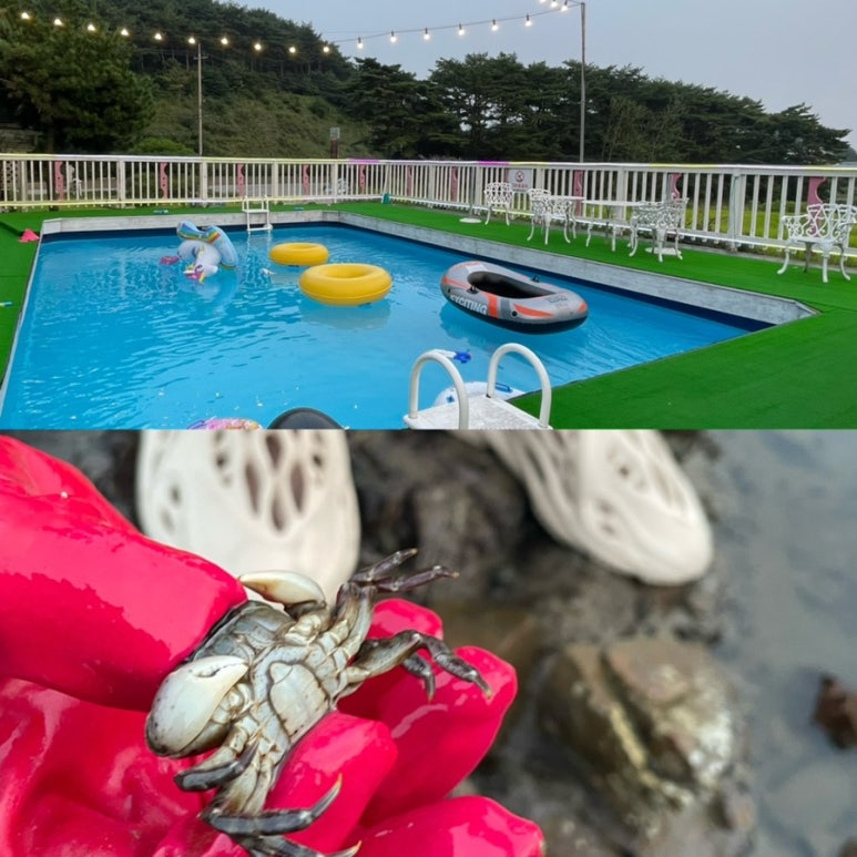 고운향기펜션 이미지