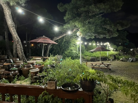 팔영산흑염소 이미지