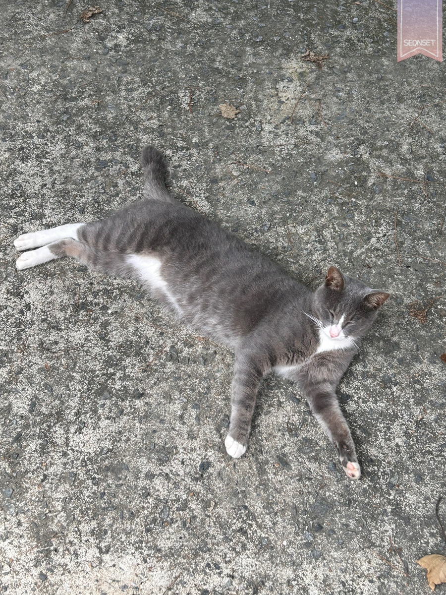 여명다방 이미지