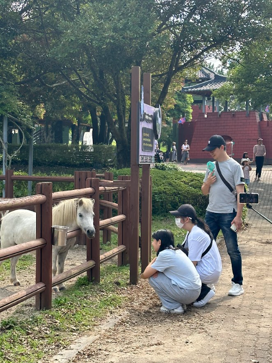제주해피랜드 이미지