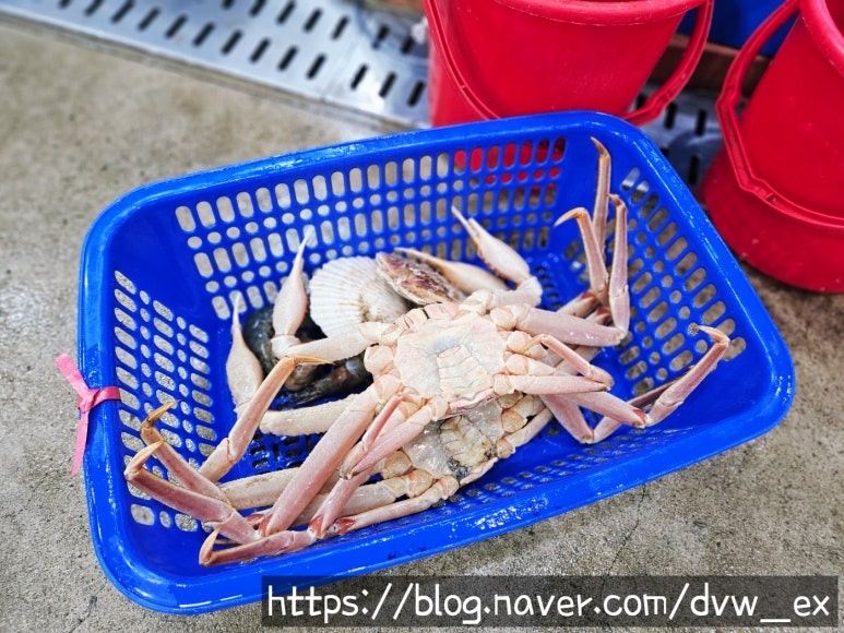 쿨수산 이미지