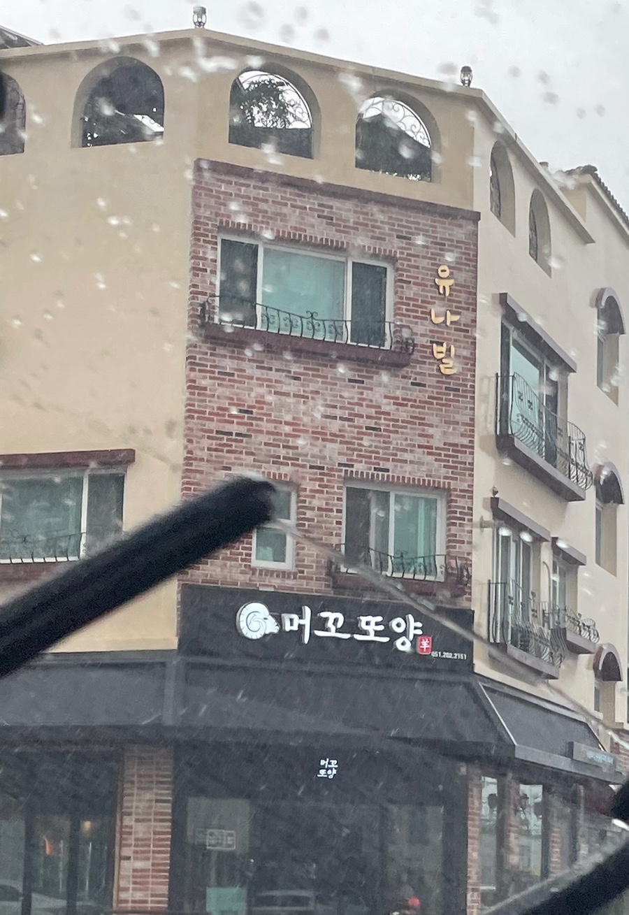 머꼬또양 이미지