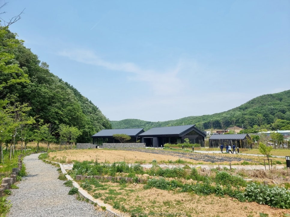 묵리459 이미지