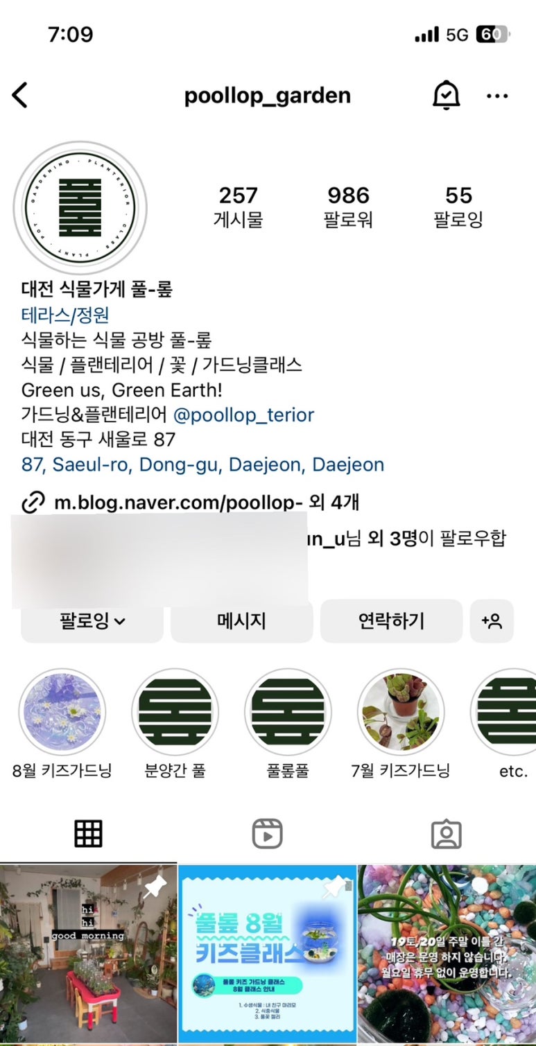 풀롶 이미지