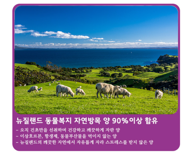 댕냥이라이프 강아지와고양이 애견용품펫마트 이미지