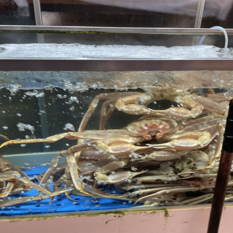 건도리 이미지
