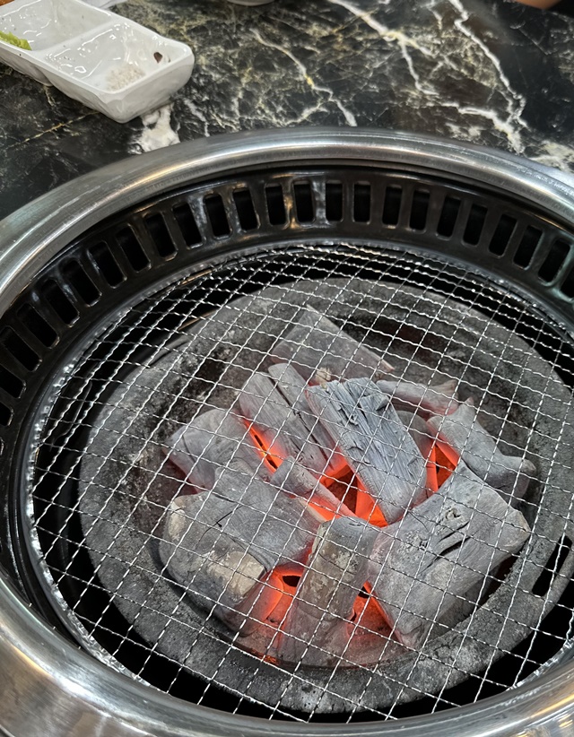 육동솔 이미지