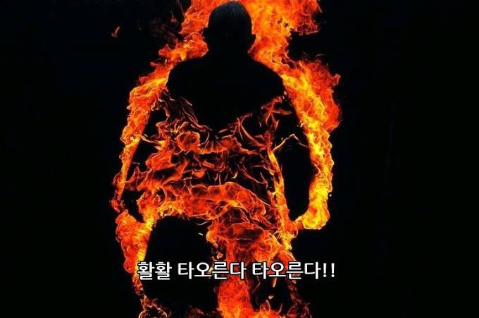 D-마트 이미지