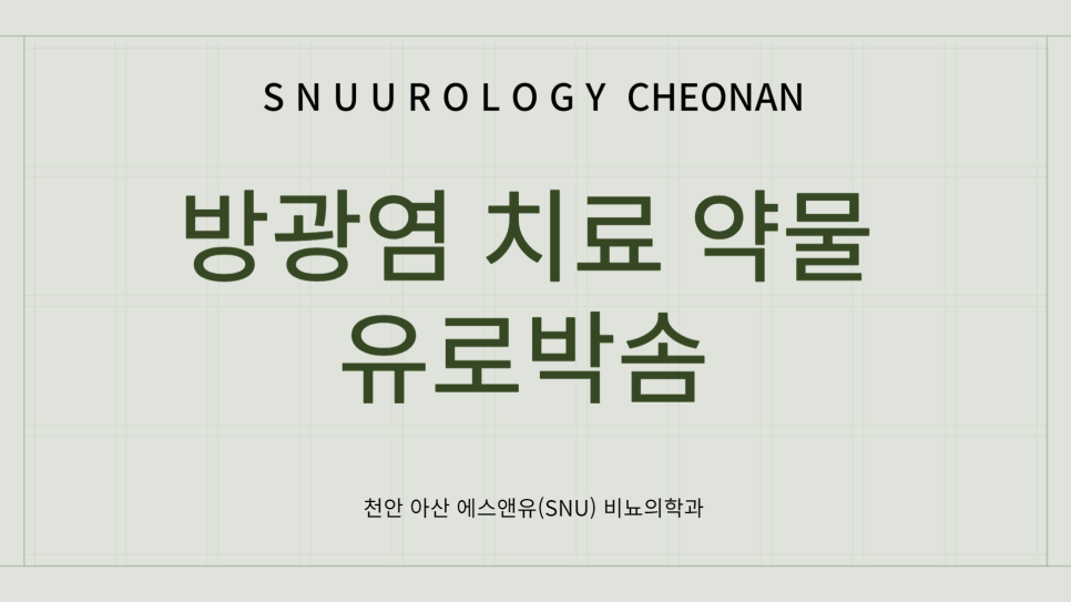에스앤유서울비뇨의학과 이미지