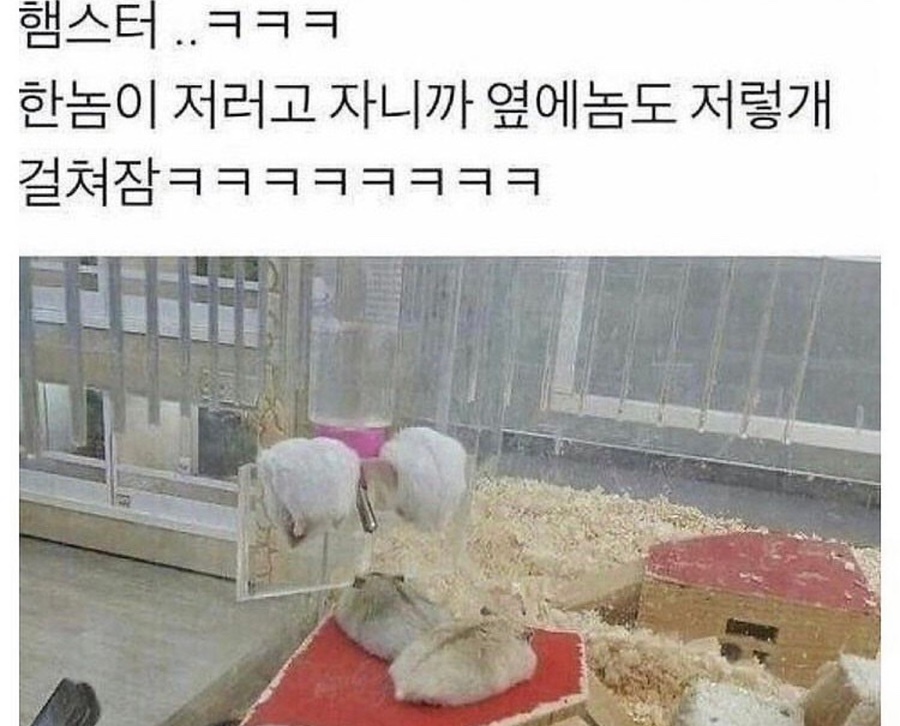 우리화원 이미지