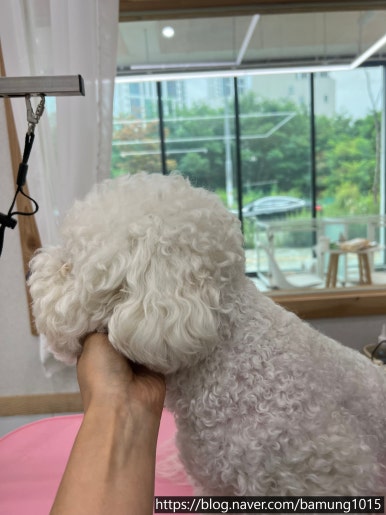 하이바틀 이미지
