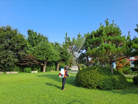 전주중인초등학교 이미지