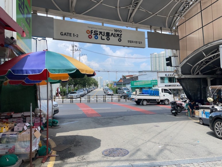 양동청과 이미지