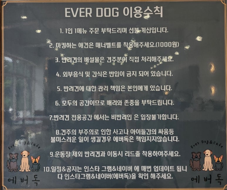 에버독 이미지