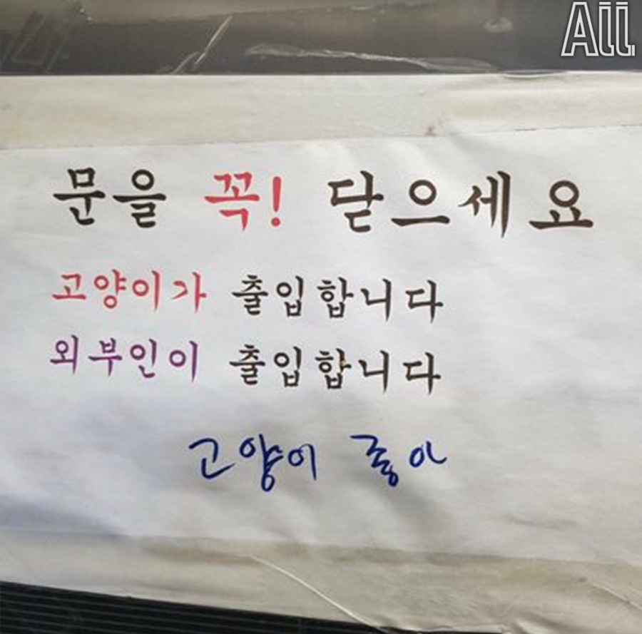 LP 필름 이미지