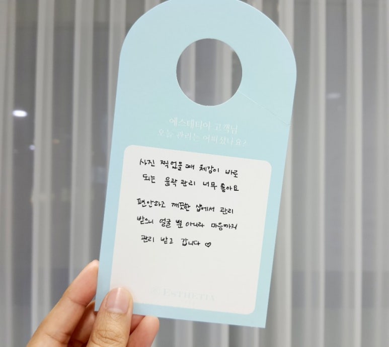 에스테티아세종소담 이미지