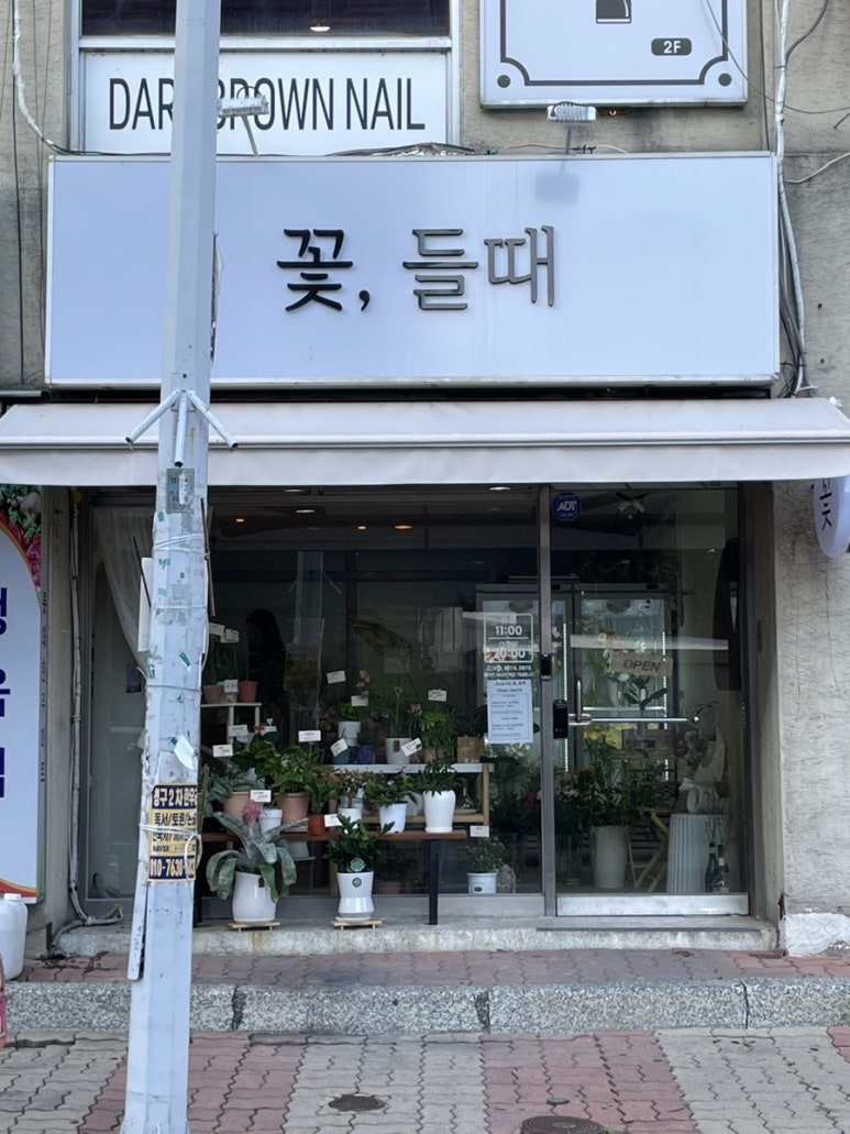 꽃;들때 이미지