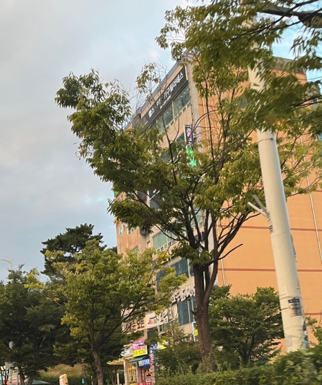 더풋샵오창과학단지점 이미지