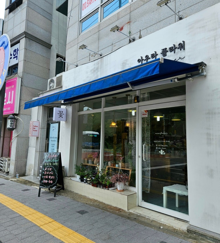 아우라플라워 이미지