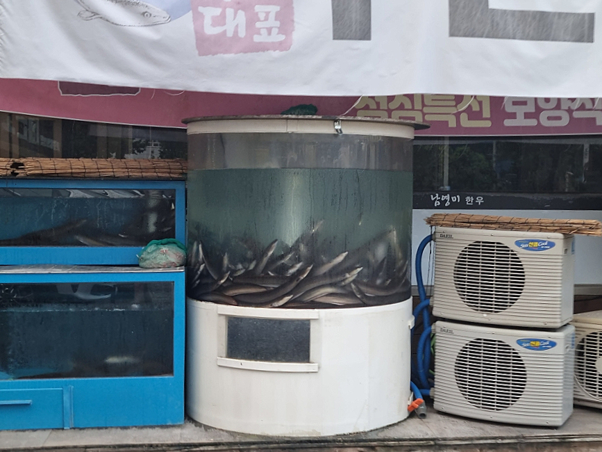 국가대표민물장어무한리필 이미지