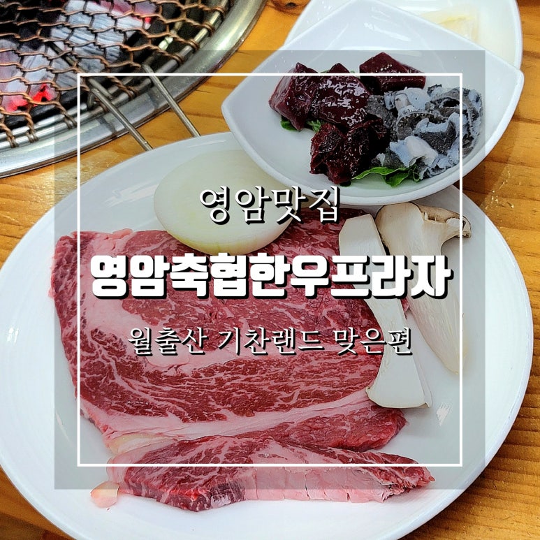 영암축협 한우프라자 이미지