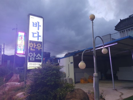 바다한우암소 이미지