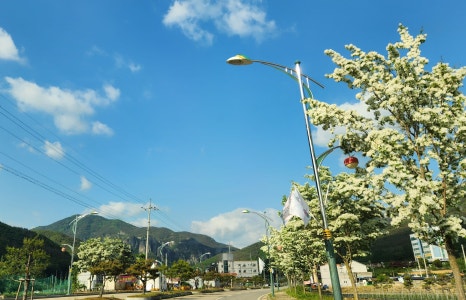 청송농협 하나로마트(본점) 이미지
