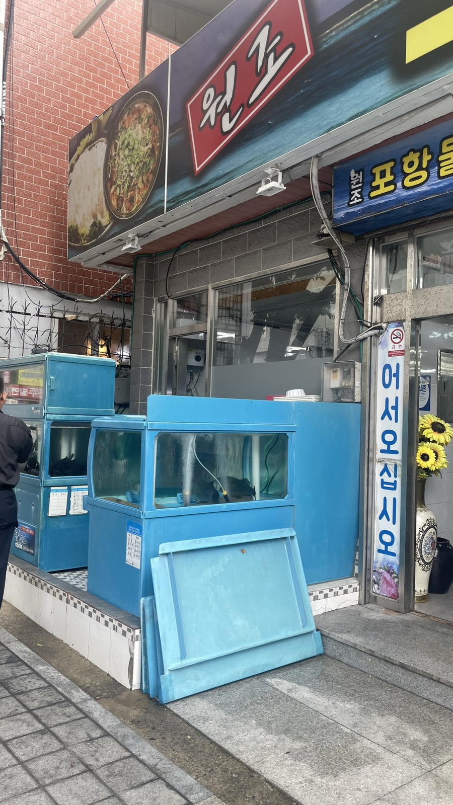 원조포항물횟집 이미지