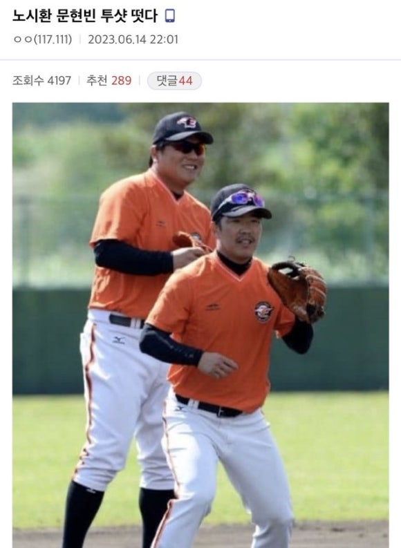 이글스 이미지