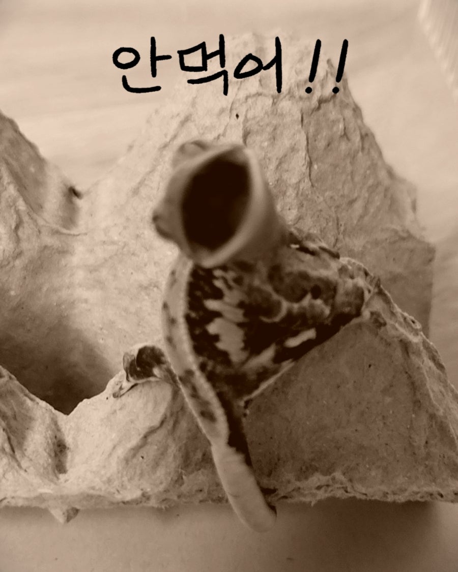 (주)크레푸드 이미지