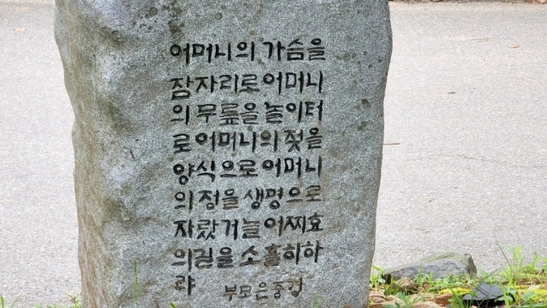 김밥세상 이미지