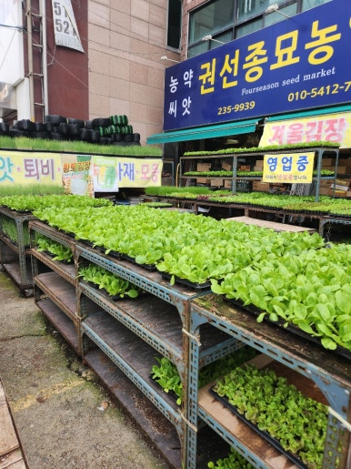 텃밭농약사 이미지