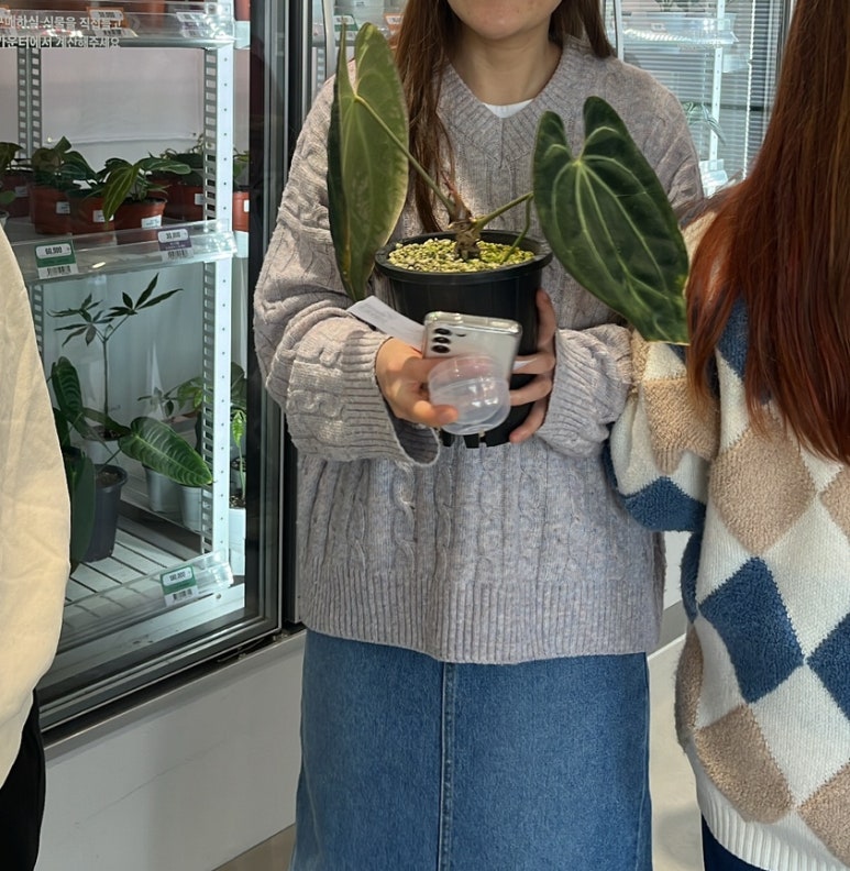 뽑기매니아2 이미지