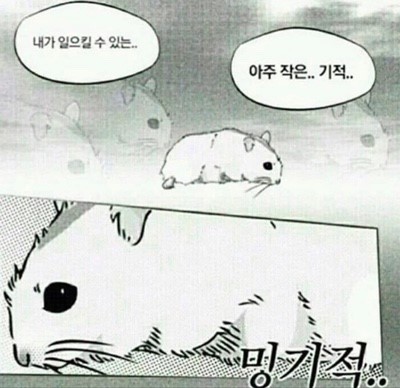 밍기적 이미지