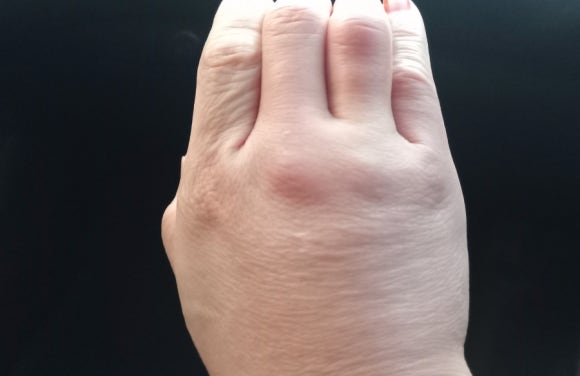 태봉염소장터 이미지
