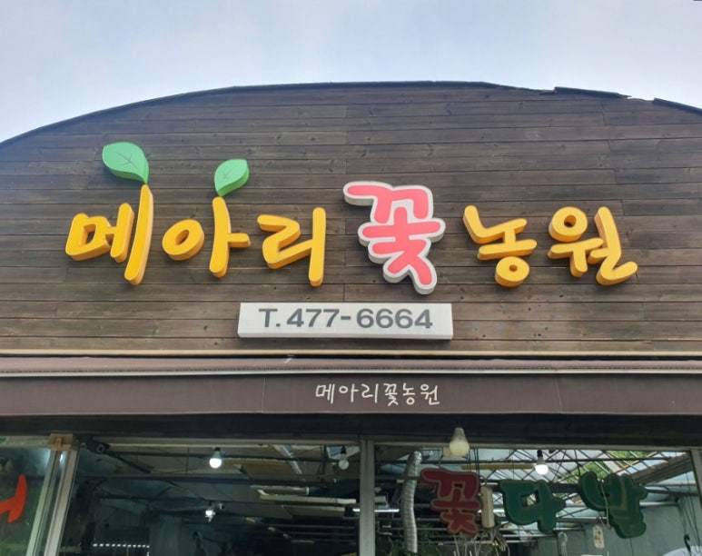 강동꽃농원 이미지