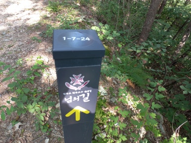 양업교구 이미지