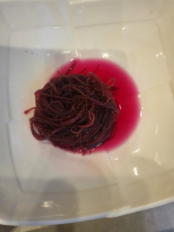 대광식당 이미지