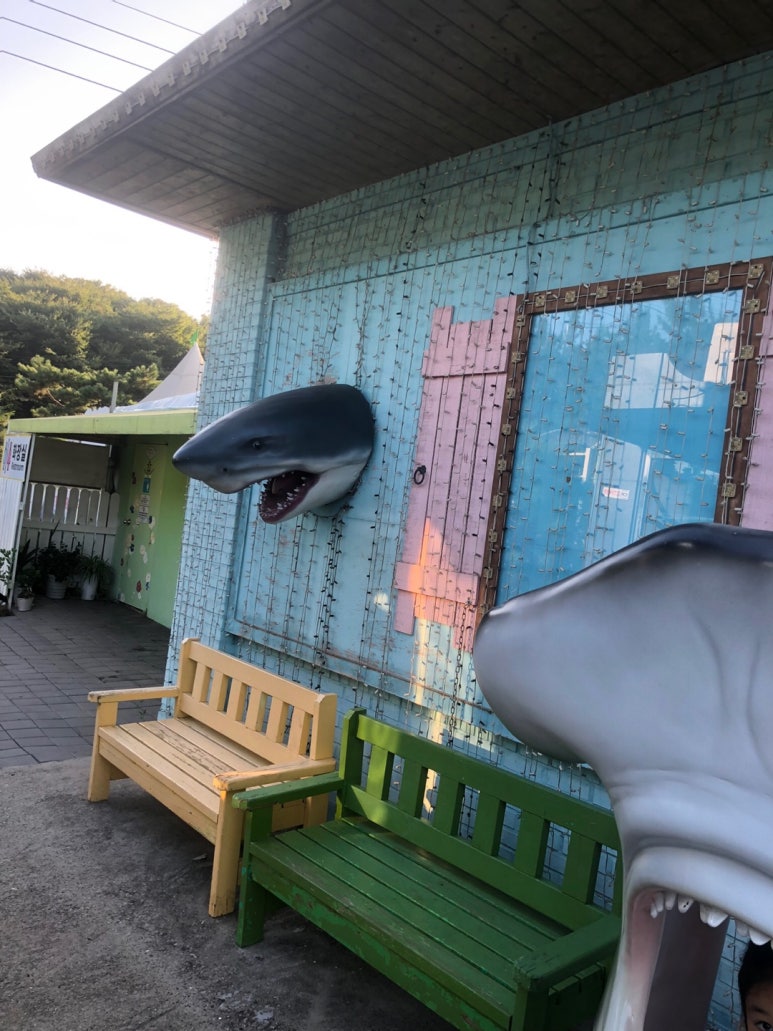거울미로 이미지