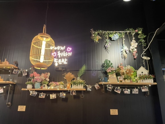 술비 사진 8