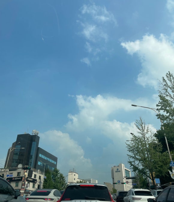 카페보헤이 이미지