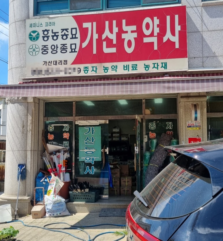 대진대점맘스터치 이미지