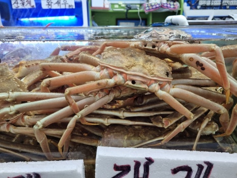 팔달수산 이미지