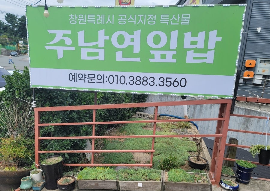 주남연잎밥 이미지
