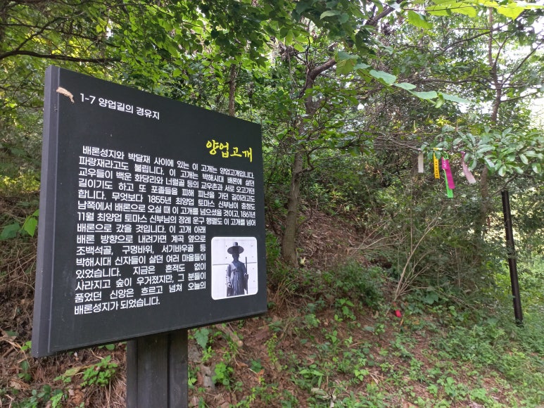 양업교구 이미지