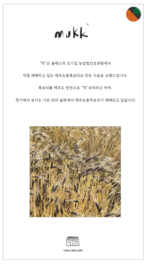뉴체스 이미지