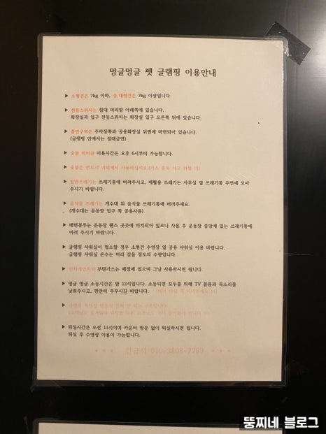 멍글멍글펫글램핑 이미지
